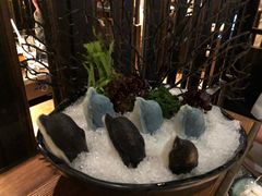 海豚鱼丸-湊湊火锅·茶憩(新中关购物中心店)