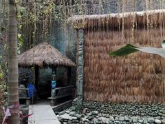 -呀路古热带植物园