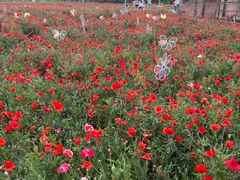 -祥源·阜阳生态乐园