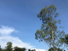 -火炉山森林公园