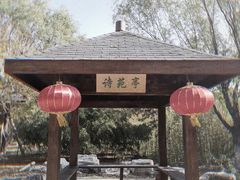 -大兴滨河森林公园