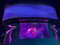 -海底巡游艇:尼莫和好友的海洋世界