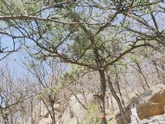 -天津盘山风景名胜区