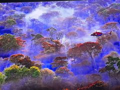 -罗红摄影艺术馆