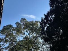 -房湖公园
