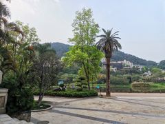 -广州凤凰城酒店-维也纳西餐厅