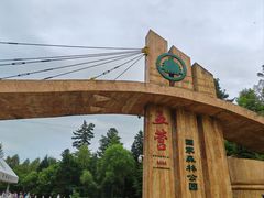 -五营国家森林公园