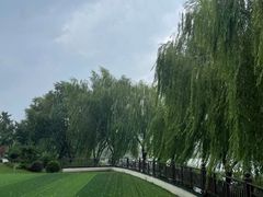-九里河湿地公园