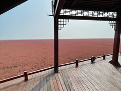 -红海滩国家风景廊道