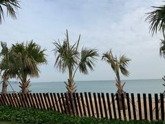 -大梅沙海滨公园