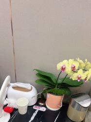 -杭州米兰柏羽医疗美容医院