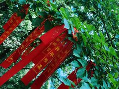 -陕西省红河谷森林公园