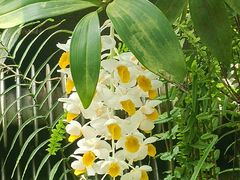 -国家植物园南园