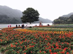 -广州市石门国家森林公园