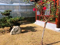 景观位-呼吸森林·生态农庄农家乐私房菜