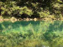 -石台牯牛降景区