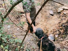 -桤木河湿地公园