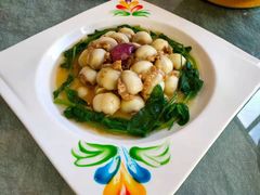 -玉雪春天(中正花园店)