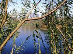 -重庆彩云湖湿地公园