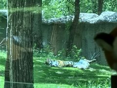 -北京野生动物园