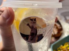 -猫儿山۰猫主题餐厅