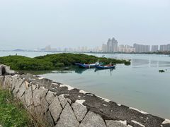 -海沧湾公园