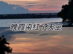 -宝安西湾红树林湿地公园