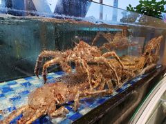 -老伙记海鲜码头(北滘店)