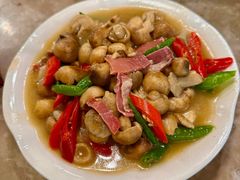 -易门野生菌府·菌海森林(月牙潭公园店)