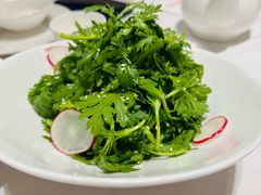 -新吉士·上海菜(浦东LCM置汇旭辉店)