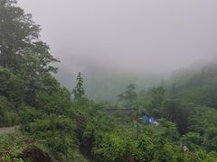 -龙窝子