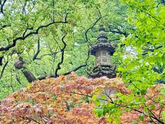 -普陀山风景名胜区-法雨禅寺