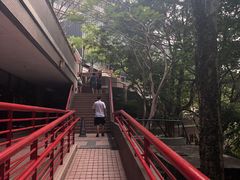 -香港大学
