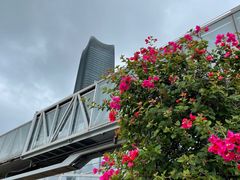 -北外滩滨江绿地