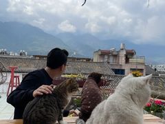 -喵屿·大理花园猫咖