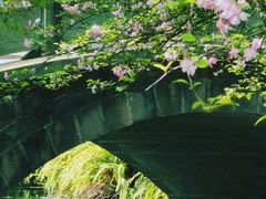 -棠湖公园