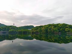 -杭州半山国家森林公园