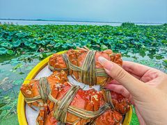 -七的湖·晚芳亭·阳澄湖农家菜·大闸蟹(莲花岛店)