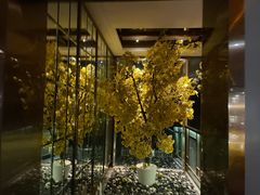 -丽晶大班SPA(大沽店)