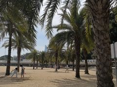 -白城沙滩