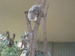 -费瑟代尔野生动物园