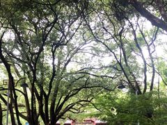 -杭州半山国家森林公园