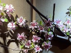 -理療君·古法推拿•姜疗•SPA馆(东门店)