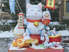 -南宫五洲植物乐园