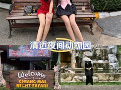 -清迈夜间动物园