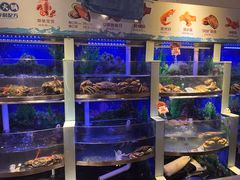 -七欣天香辣蟹火锅(武义壶山广场店)