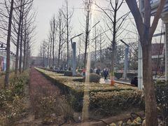 景点-南宫五洲植物乐园