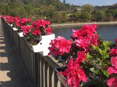 -五龙客家风情园