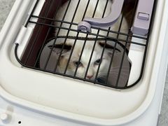 -喜多萌中农锦绣动物医院24H·猫科·牙科MRI·CT