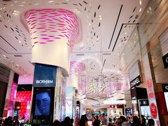 -DFS旗下T广场(新加坡店)